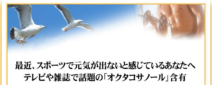 メガサプリ -MEGA Supple-